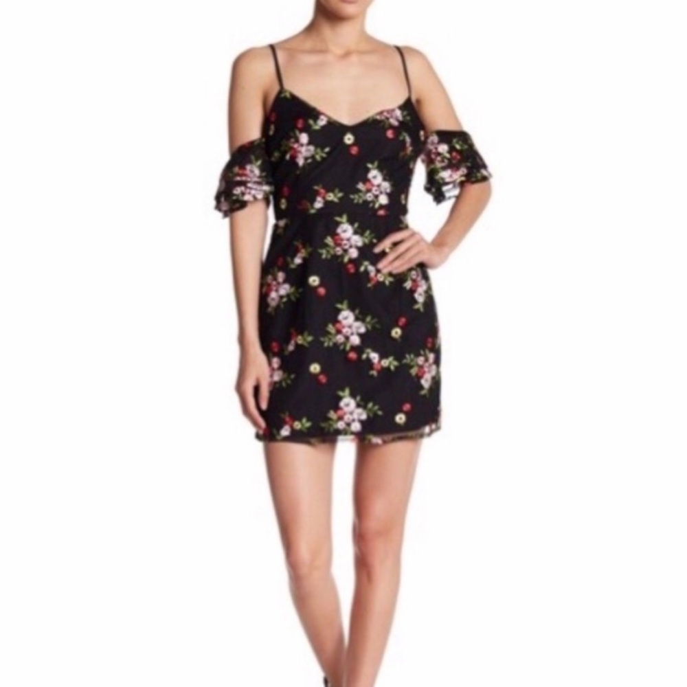 BB Dakota size 4 dress NWOT